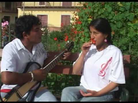 Ampanario - Sangre Andina