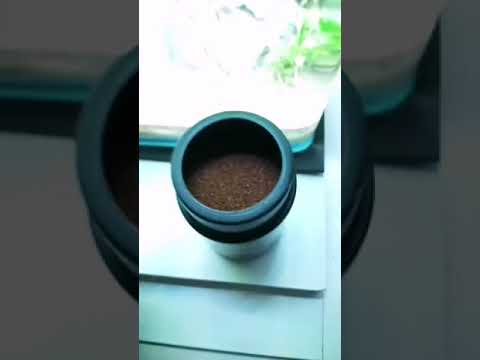 Faisalzerhouni | Aquarium 💙💚 Fishtank Aquascape 🔔Subsbs please🤙🤙