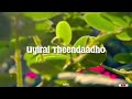 Railin Oligal Song Whatsapp Status Bluestar Movie Ashok Selvan Keerthi Pandiyan PradeepKumar