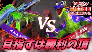 王の座をかけ最強のドラゴン達が相まみえる [ドラゴン最強王図鑑バトルコロシアム 実況] #6