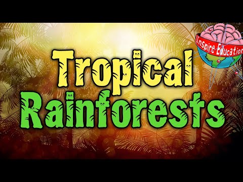 What are tropical rainforests?