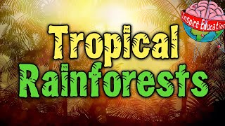 What are tropical rainforests?