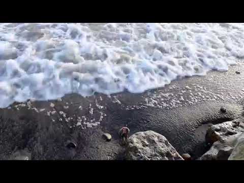 Waves Beach Sandy Beach Small Waves California By Asim Asif