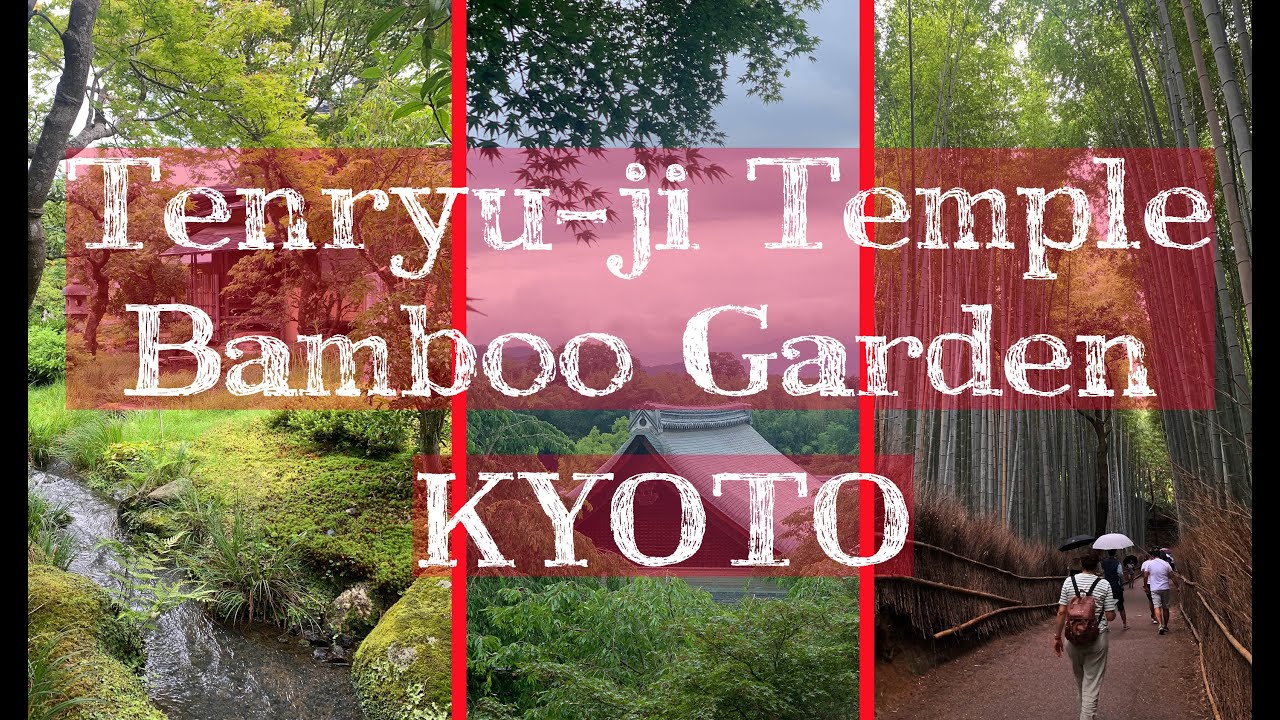 Experience the captivating Tenryu-ji Temple & Scenic Japanese Garden through this video.