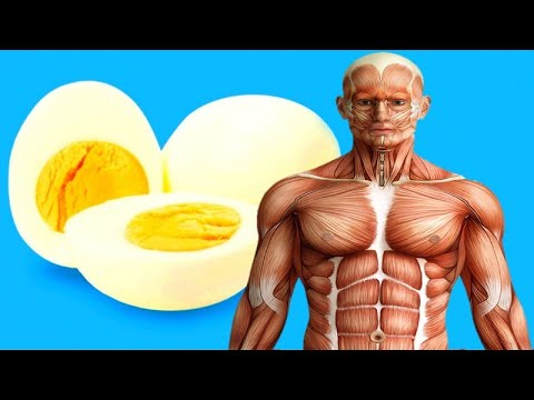 Warum man täglich 4 Eier essen sollte