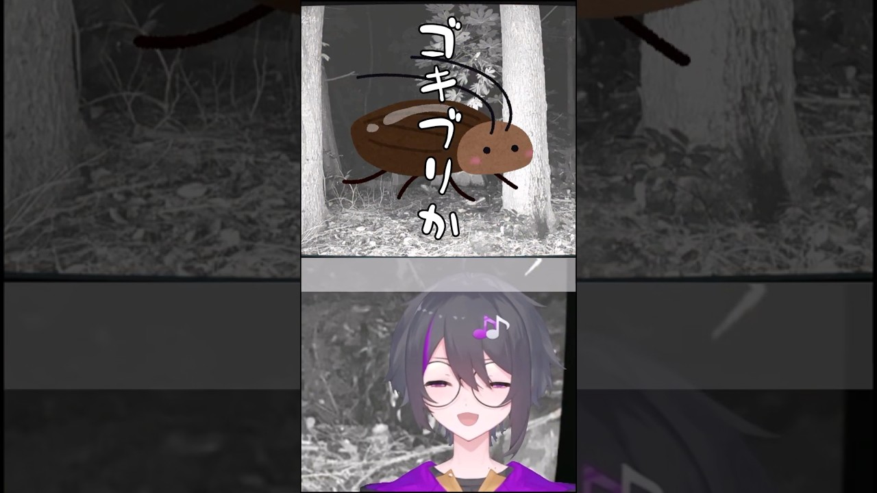 最初からいましたけど？という面をしている幽霊さん。 #shorts