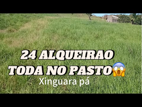 VEJÁ QUE TERRA BOA DE PREÇO NA REGIÃO DE XINGUARA PARÁ 😱😱😱😱😱😱😱😱.