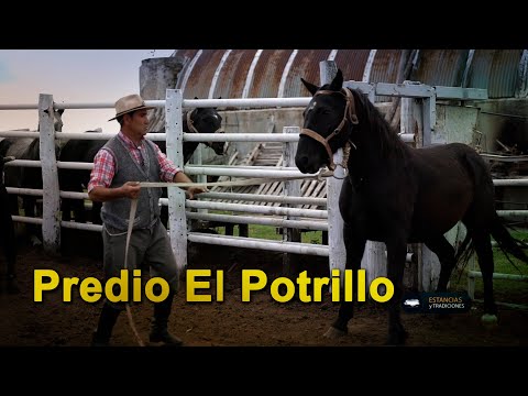 246 Predio El Potrillo, Achiras (Córdoba) - Estancias y Tradiciones
