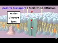 Structure Of The Cell Membrane Active And Passive Transport