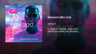 Blossom (Mix Cut)