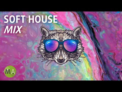 Deep Focus Upbeat Study Music Soft House Raccoon Mix, Isochronic Tones