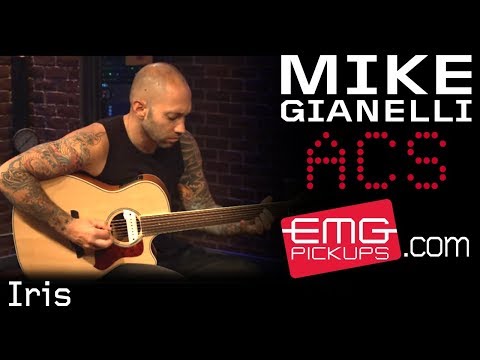 EMG ACS Active Acoustic Soundhole Pickup, Black image 5