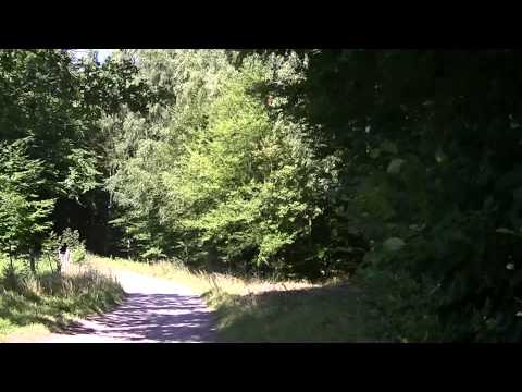 MongoTV_561 - Del 19 - Fede John På Skovtur Og Søndagsudflugt - 23.August 2015