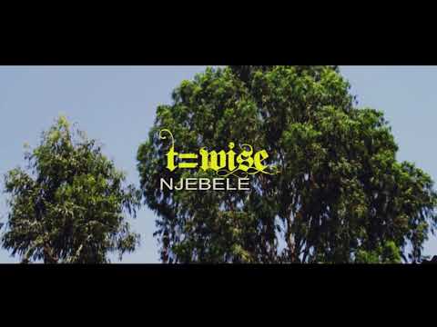 T wise Njebele