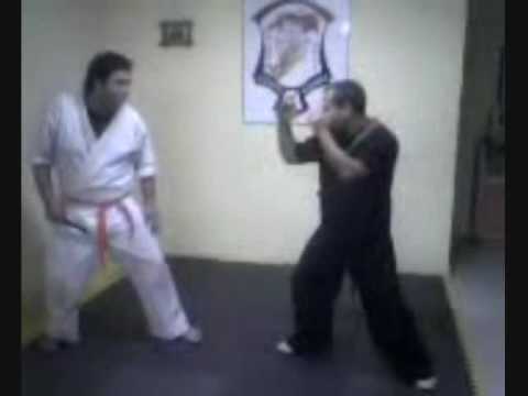 TECNICAS KENPO