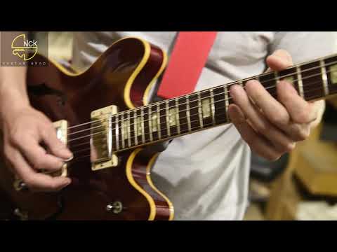 The Ceriatone Overtone Tweedle Dee