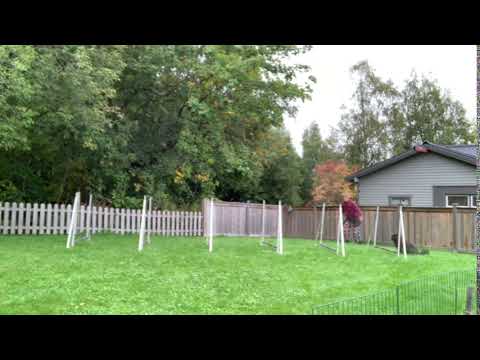 Swiffer 2019.09.22 Basic grid