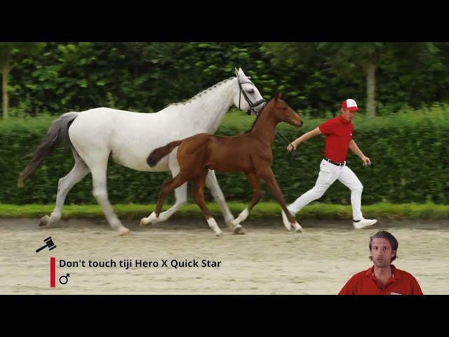 Defender Star Z
