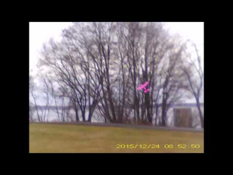 Flying RC aircraft FX-805 glider - attacked by gull / almost eaten by dog