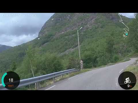 Øvre Årdal mot Turtagrø.