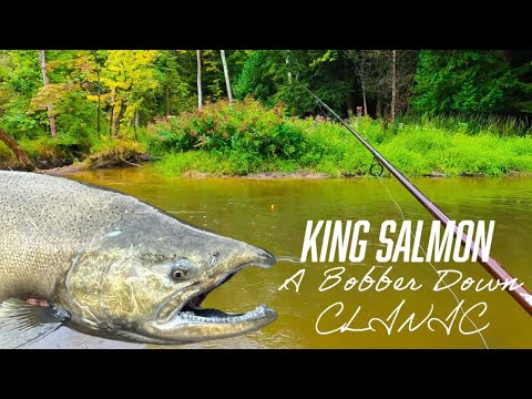 King Salmon | Bobber Down CLINIC | 2025