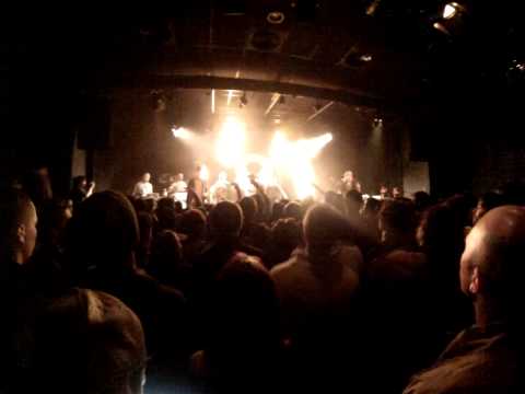 L'Animalerie - Pan Piper 20/04/13 - Le chien d'en bas - Kalams / Dico / Ethor Skull /