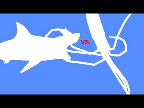 Great white shark vs Giant squid | stick nodes animation