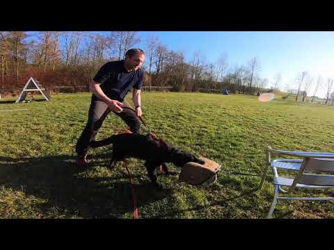 Cim vom Lehrbacher Schloß--5 Monate