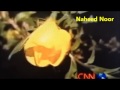Miracle Of Allah Azan Flower Cnn Report