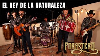 El Rey de la Naturaleza - Forastero (live)