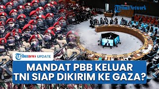 Mandat PBB Keluar, Izinkan Pasukan Stabilisasi Masuk Gaza, Prabowo Siap Kirim 20.000 Prajurit TNI?
