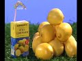 Come Outside Series 2 A Carton Drink
