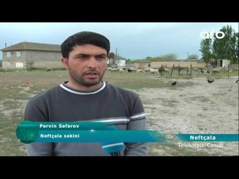 Mədəniyyət və Turizm nazirliyi Pərvin Səfərovu işlə təmin etdi