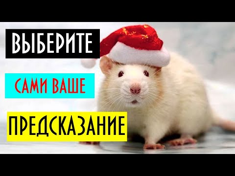 ПРЕДСКАЗАНИЕ НА 2020 ГОД. Что ожидать в год металлической крысы.