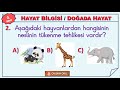 1. Sınıf  Hayat Bilgisi Dersi  Çevremizdeki Hayvanlar İNDİR: https://www.caliskanokul.com/2019/05/3.html ✍  ⭐DİĞER HAYAT BİLGİSİ TESTLERİ : OKULUMUZDA HAYAT 1. Sınıf: ... konu anlatım videosunu izle