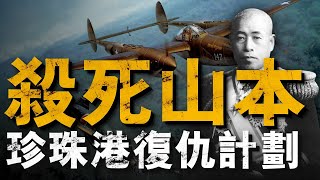 Re: [提問]  如果台灣只發展海空軍？