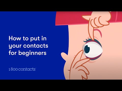 How to Put in Contacts for Beginners | 1-800 Contacts