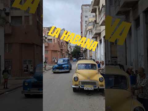 La Habana: Águila respira autos clásicos
