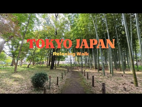 【JAPAN】4K Exploring TOKYO suburbs - Setagaya RokaKousyun Park #japan #relaxing