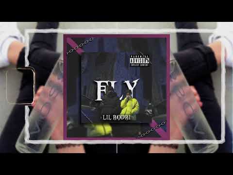 [SOLD] tripsyhell x soraisdeadbye Type Beat- Fly