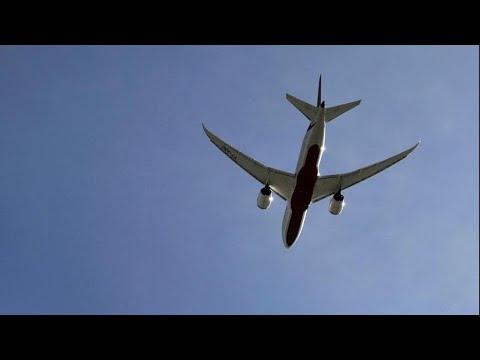 'Oh, to be so conflicted': Climate-pushing billionaire flies private jet to Formula 1