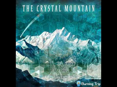 205 Antagon - Accelerator Pie