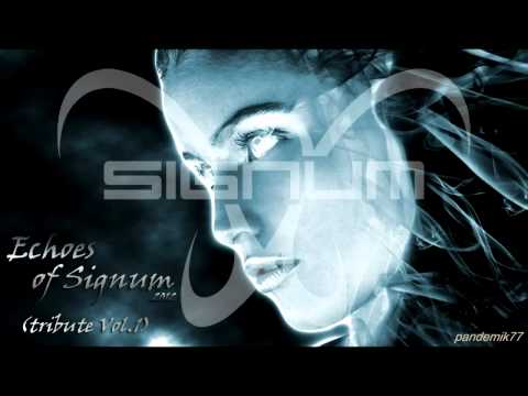 ► SIGNUM - uplifting, haunting, beautiful, banging trance!! {Echoes Of Trance - Signum EoT #18}