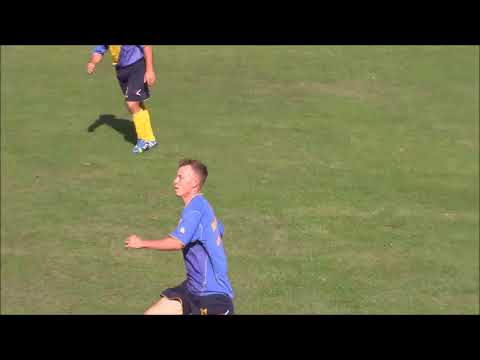 ACS PROGRESUL PECICA   ACS SOIMII SIMAND SCOR 5 1