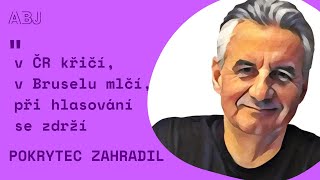 Drby jako zdroj rozhodování. Vnitřní diverzanti. Jediná bruselská pravda. A domovnice na vzestupu.