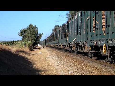 Comboio Distribuição n.º 75530 - Tramagal