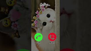 Download lagu Beautiful cat 😺🐈 #ringtone #nadaderingtelepon #smartphone #music #ringtones #ringintone #iphone mp3 Download lagu Beautiful cat 😺🐈 #ringtone #nadaderingtelepon #smartphone #music #ringtones #ringintone #iphone mp3