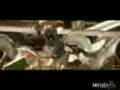 Ratatouille Trailer