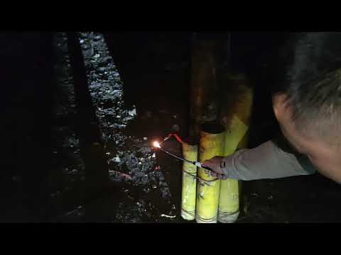 Wizard 3‘’ shell mass production-brocade crown to sizzle