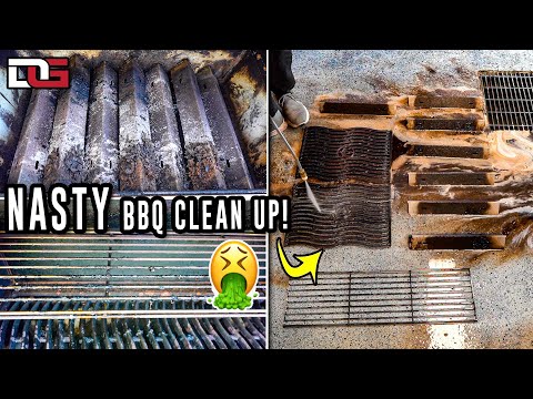 Deep Cleaning My NASTY Barbecue!
